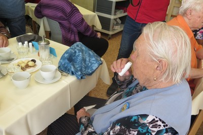 Hamrovský kolotoč