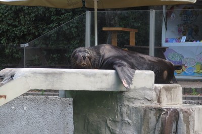 Výlet do ZOO