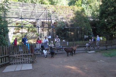 Výlet do ZOO 5.9.2018