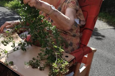 Levandulové vázičky a zpracováni bylinek