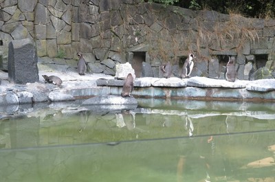 Výlet do ZOO v Liberci