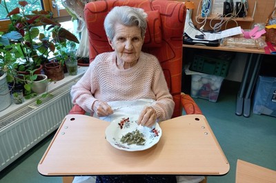 Bylinková dílna
