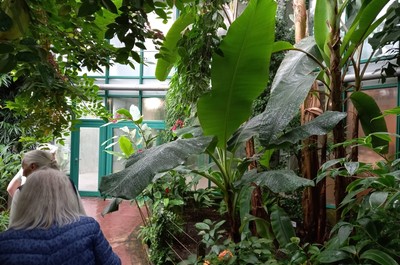 Výlet Botanická zahrada 2. 8. 2023