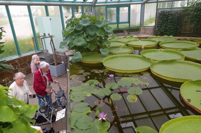 Výlet Botanická zahrada 2. 8. 2023