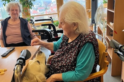Naši chlupatí kamarádi Hugo a Dasty