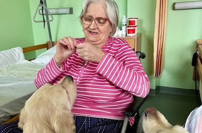 Naši chlupatí kamarádi Hugo a Dasty