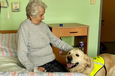 Naši chlupatí kamarádi Hugo a Dasty