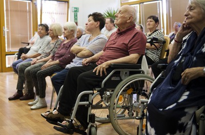 Návštěva p. Babiše a darování koťátek