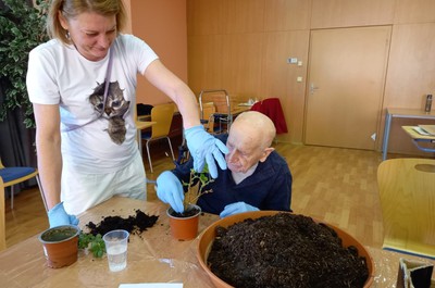 Společné tradiční jarní přesazování