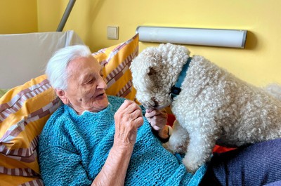 Canisterapie prosinec 2025