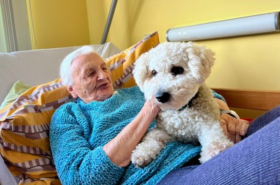 Canisterapie prosinec 2025