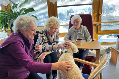 Canisterapie prosinec 2025