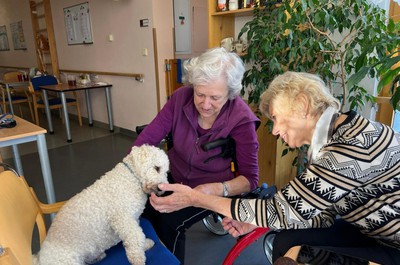 Canisterapie prosinec 2025