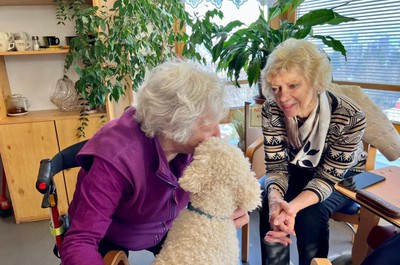 Canisterapie prosinec 2025