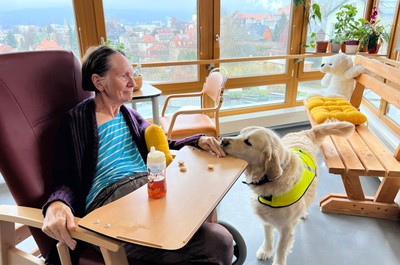 Canisterapie prosinec 2025