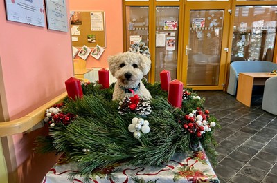 Canisterapie prosinec 2025