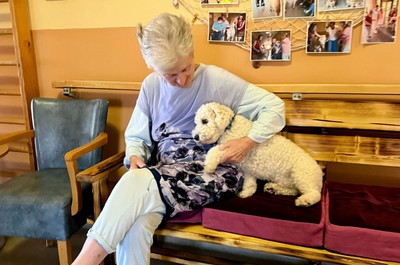 Canisterapie prosinec 2025