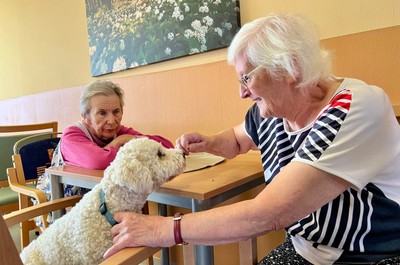 Canisterapie prosinec 2025