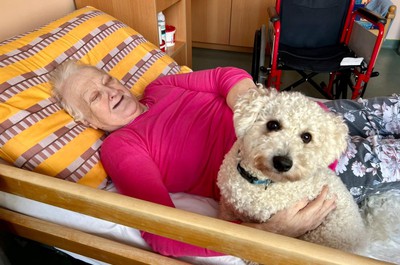 Canisterapie prosinec 2025