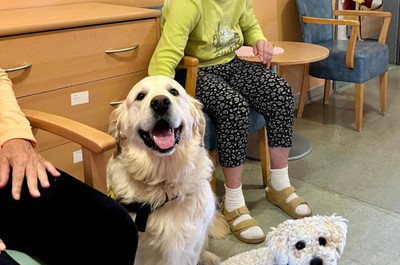 Canisterapie - září a říjen