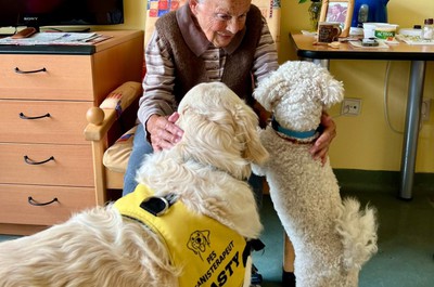 Canisterapie - září a říjen