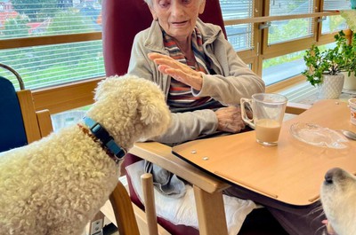 Canisterapie - září a říjen