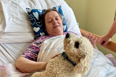 Canisterapie - září a říjen