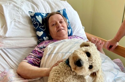 Canisterapie - září a říjen