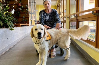 Canisterapie - září a říjen