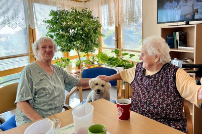 Canisterapie - září a říjen