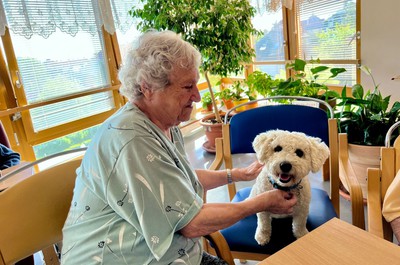 Canisterapie - září a říjen