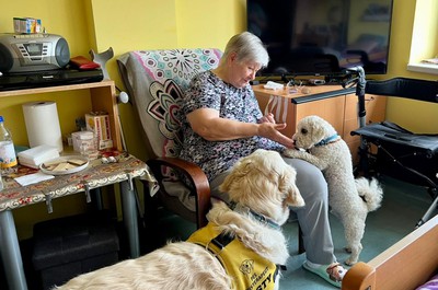 Canisterapie - září a říjen