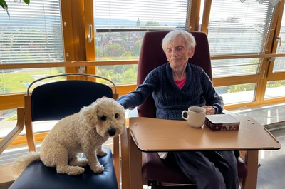 Canisterapie - září a říjen