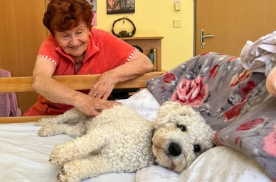 Canisterapie - září a říjen