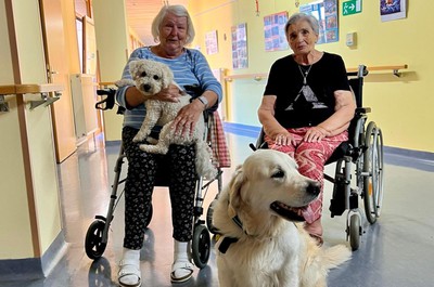 Canisterapie - září a říjen