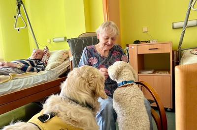 Canisterapie - září a říjen