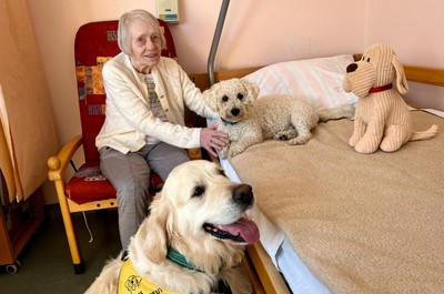 Canisterapie - září a říjen