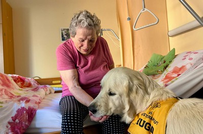 Canisterapie - září a říjen