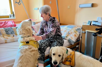 Canisterapie - září a říjen