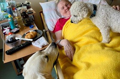 Canisterapie - září a říjen