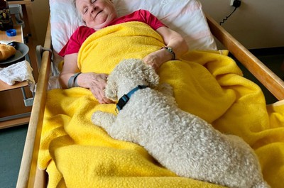 Canisterapie - září a říjen