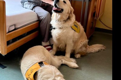 Canisterapie - září a říjen