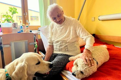 Canisterapie - září a říjen