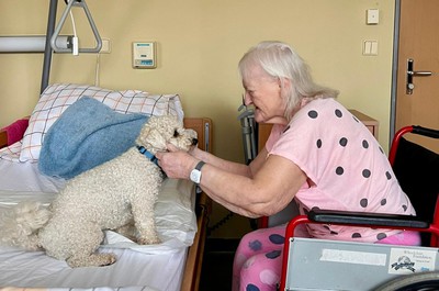 Canisterapie - září a říjen