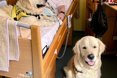 Canisterapie - září a říjen