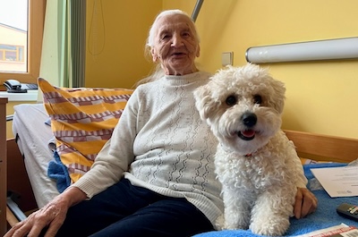 Hugo, Dasty a Kim  leden 2025