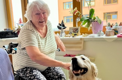 Hugo, Dasty a Kim  leden 2025