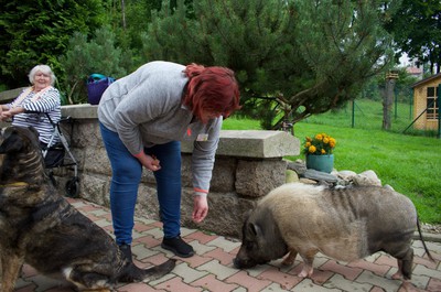 Návštěva útulku Dášenka Lučany nad Nisou