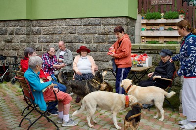 Návštěva útulku Dášenka Lučany nad Nisou