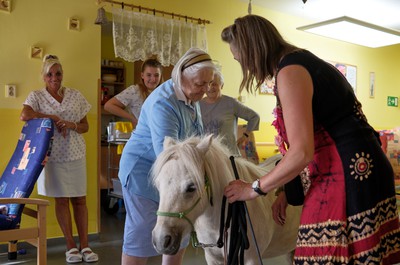 Pampi na Vážkách - září